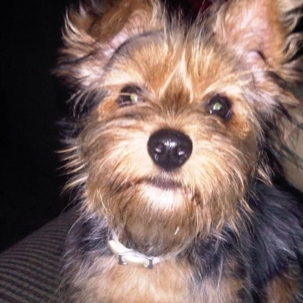 Meet your Posher, Julie